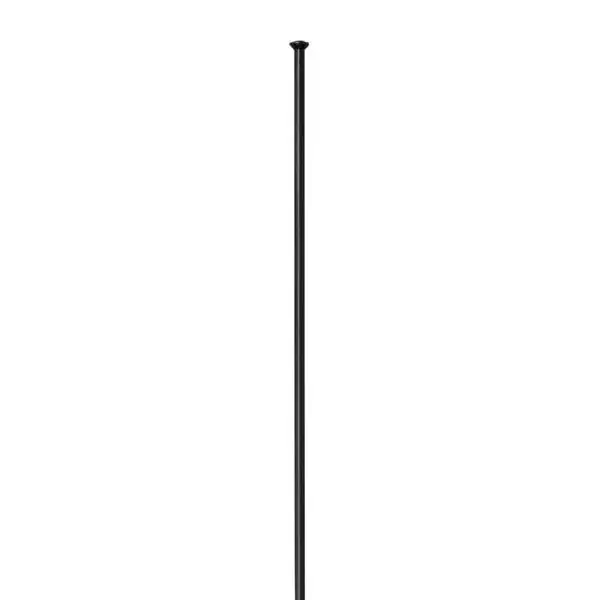 Suosittu DT Swiss Competition Pinna 14 x 306mm Straight - Musta (100)