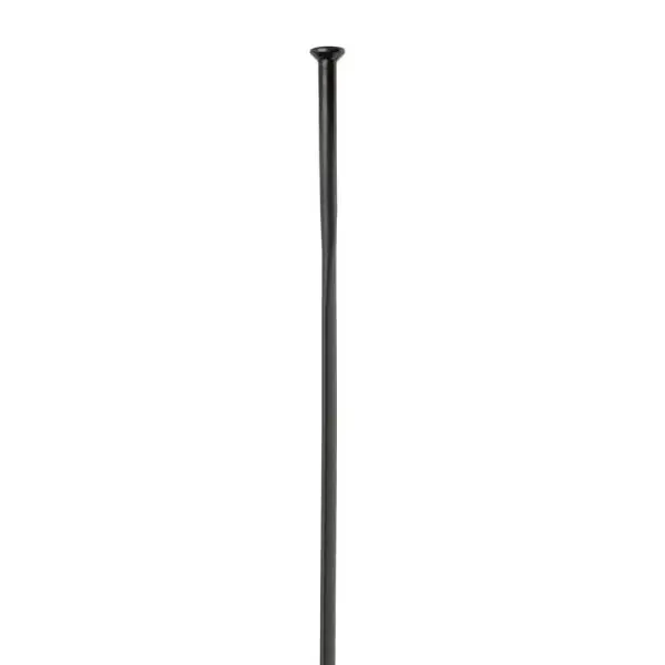Älä Missaa DT Swiss Aerolite Pinna 14 x 270mm Suora - Musta (20)