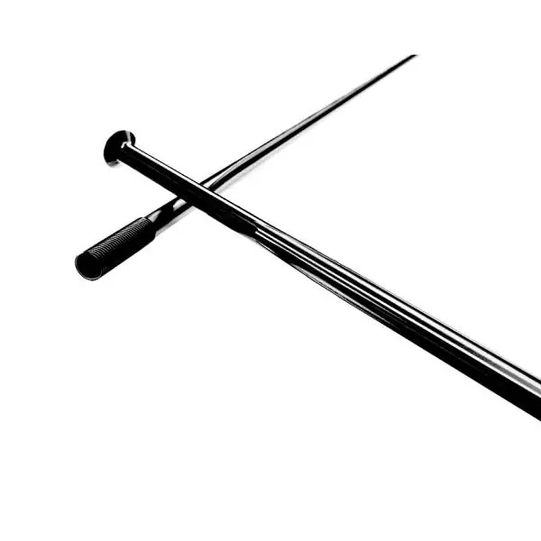 Vain Tänään DT Swiss Revolite Pinna 14 x 294mm Suora Inox - Musta (20)