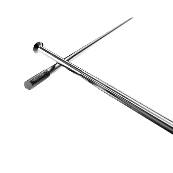 Alennus DT Swiss Revolite Pinna 14 x 298mm Suora Inox - Hopea (20)
