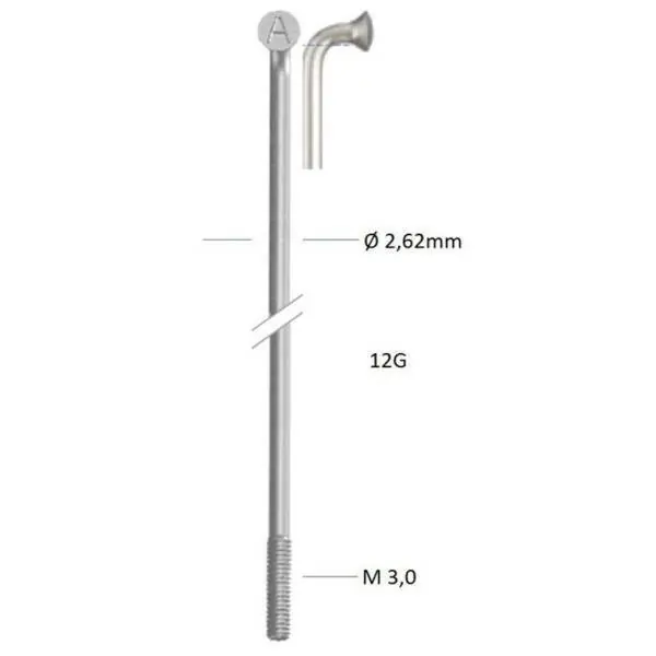 Alkuperäinen Alpina Pinna 12 x 180mm Sinkki - Hopea (144)