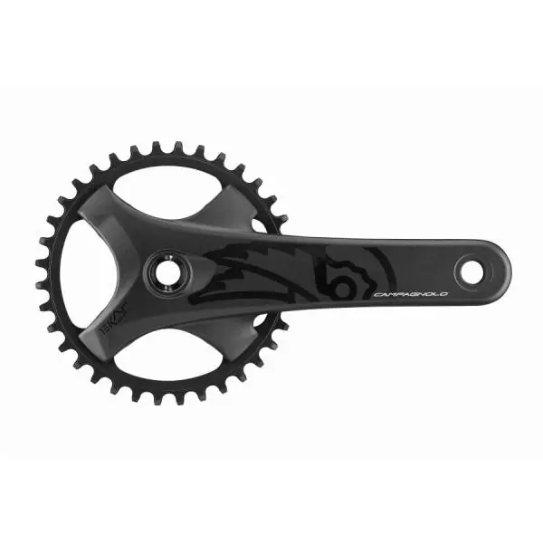 Campagnolo Ekar GT Kampisarja 38T 13V 172.5mm Hiili - Musta Tilaa Heti