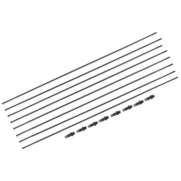 Viimeinen Mahdollisuus DT Swiss Pinnasarja Etuosa/Taka Inox -. CRC1400 - Musta (8)